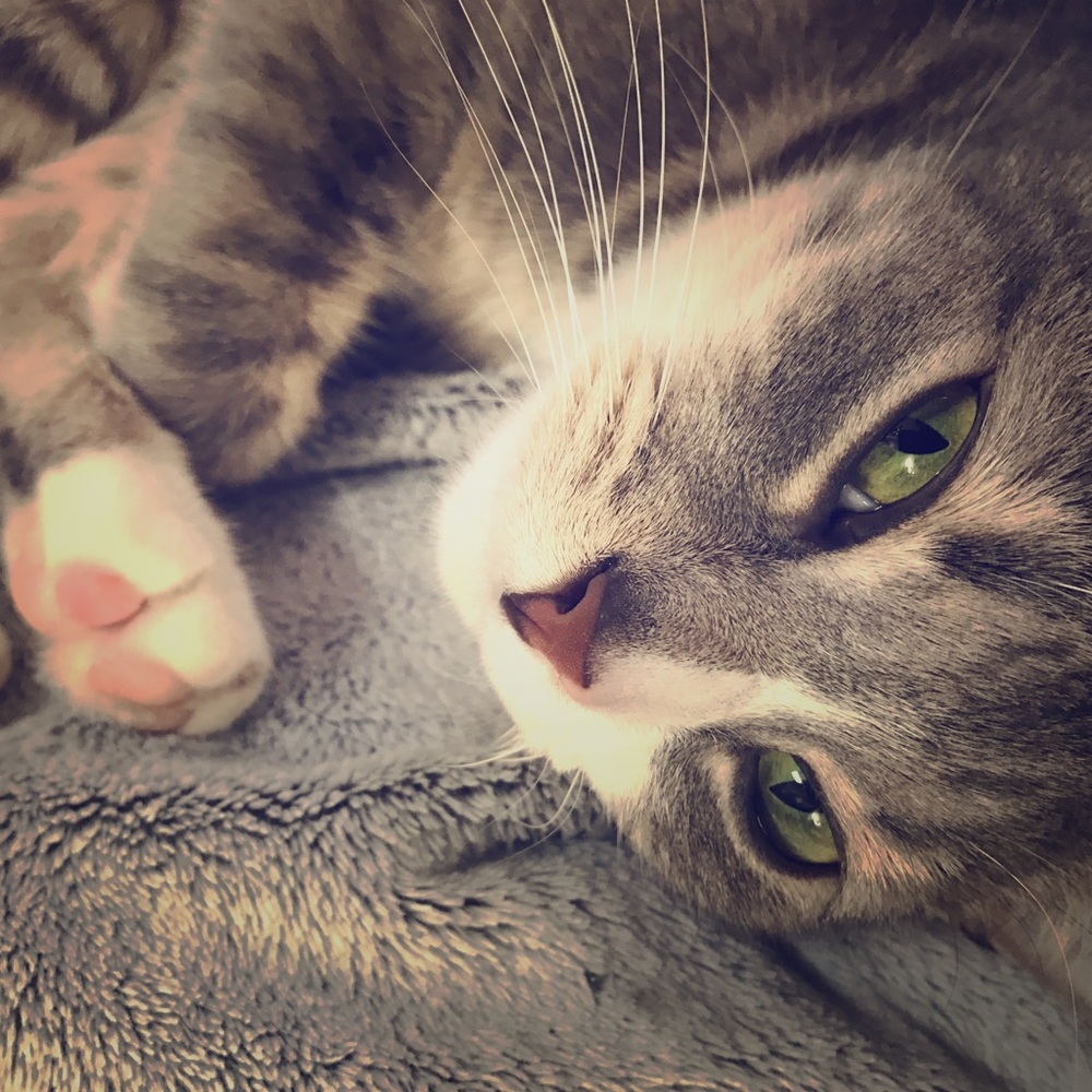 Meet your Posher, Ellie
